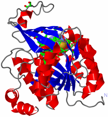 Image Asym. Unit - sites