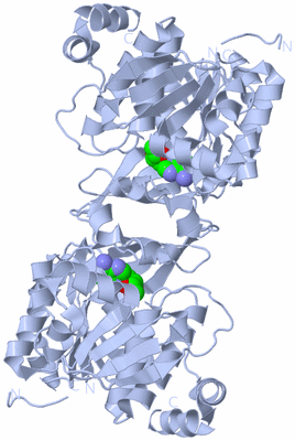 Image Biological Unit 1