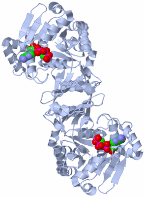 Image Biological Unit 1