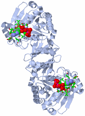 Image Biol. Unit 1 - sites