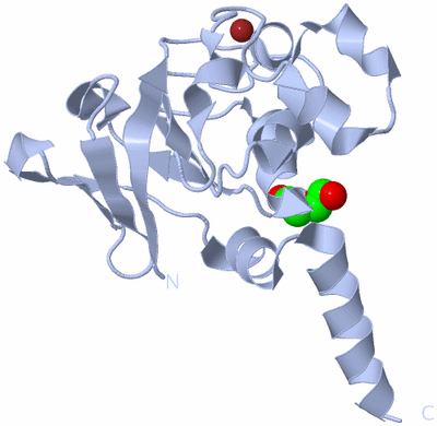 Image Biological Unit 2