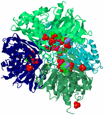 Image Biological Unit 1