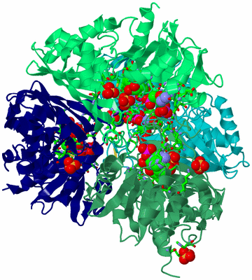 Image Biol. Unit 1 - sites