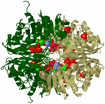 Image Biological Unit 2