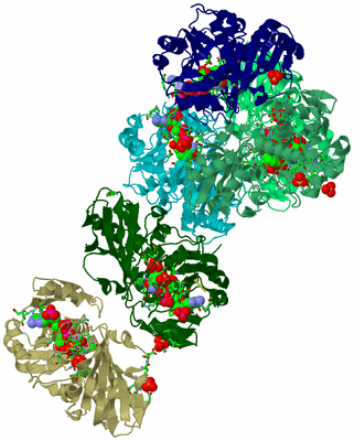 Image Asym. Unit - sites