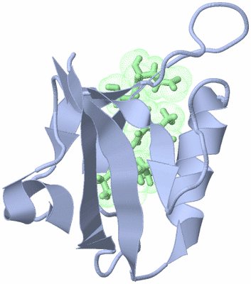 Image NMR Structure - model 1
