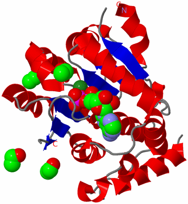 Image Asym./Biol. Unit