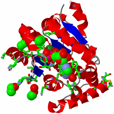 Image Asym./Biol. Unit - sites