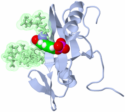 Image NMR Structure - model 1