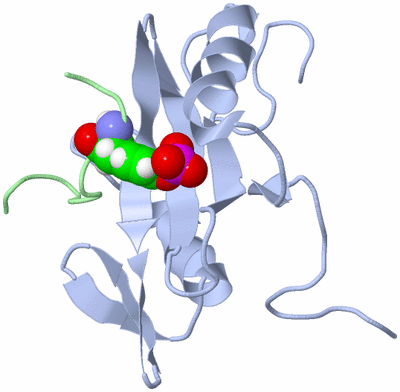 Image NMR Structure - all models