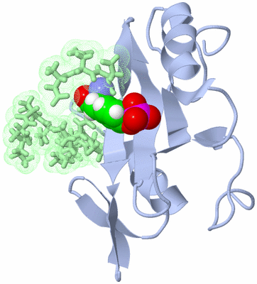 Image NMR Structure - model 1