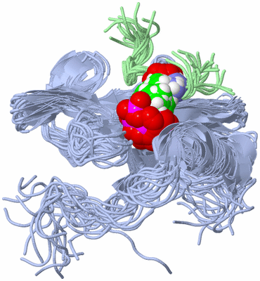 Image NMR Structure - all models