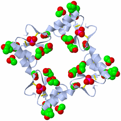 Image Biological Unit 1