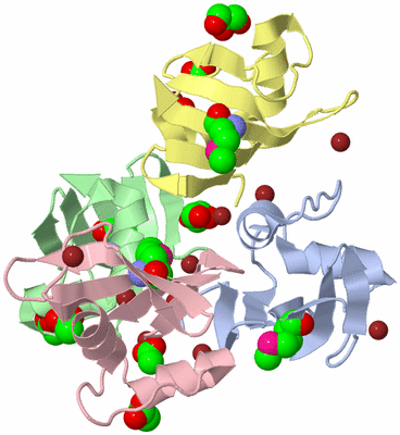 Image Biological Unit 1