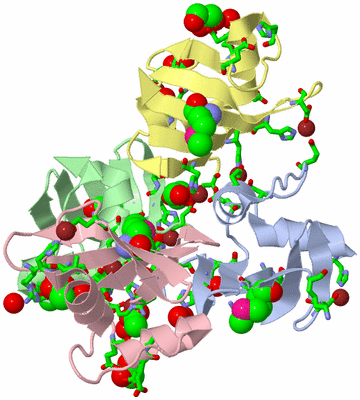 Image Biol. Unit 1 - sites