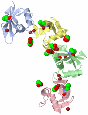 Image Biological Unit 2