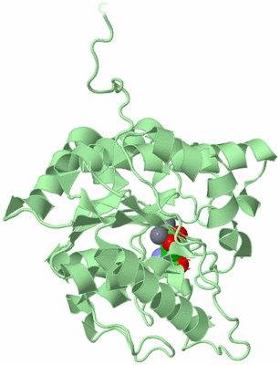 Image Biological Unit 2