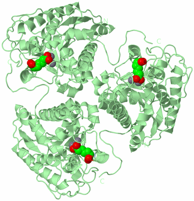 Image Biological Unit 3