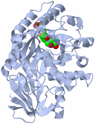 Image Biological Unit 1