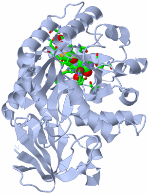 Image Biol. Unit 1 - sites