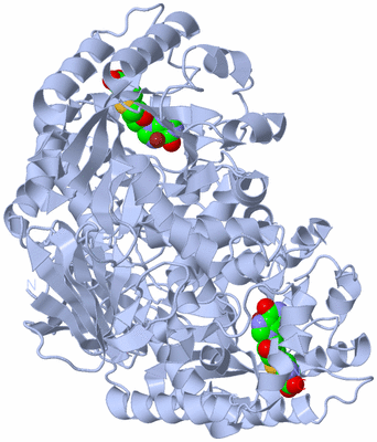 Image Biological Unit 2