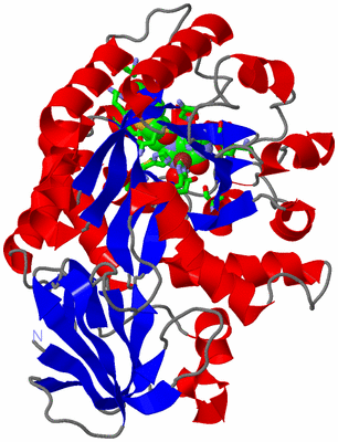 Image Asym. Unit - sites