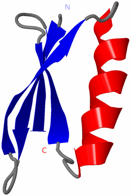 Image NMR Structure - model 1