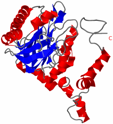 Image Asymmetric Unit