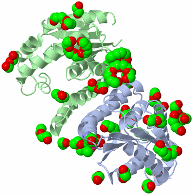 Image Asym./Biol. Unit