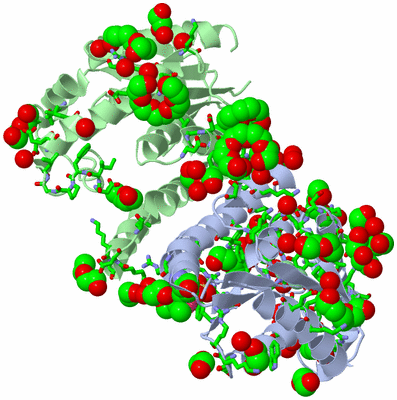 Image Asym./Biol. Unit - sites