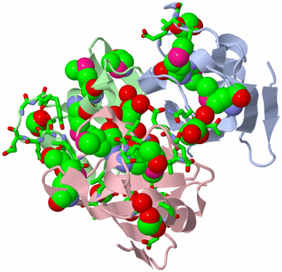 Image Biol. Unit 1 - sites