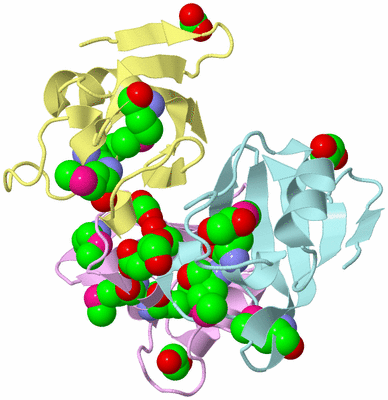 Image Biological Unit 2