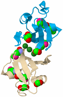 Image Biological Unit 4