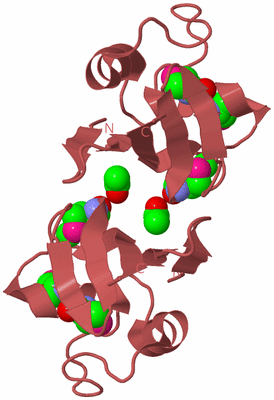 Image Biological Unit 5