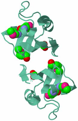 Image Biological Unit 6