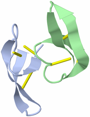 Image Asymmetric Unit