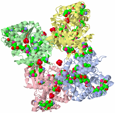 Image Asym./Biol. Unit