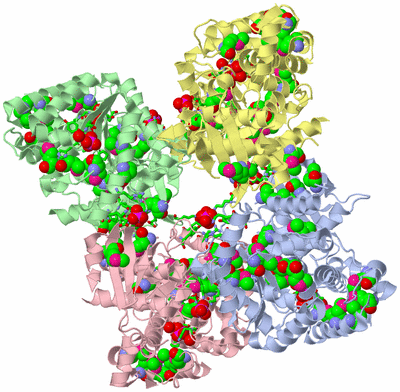 Image Asym./Biol. Unit - sites