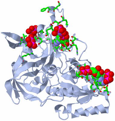 Image Biol. Unit 1 - sites