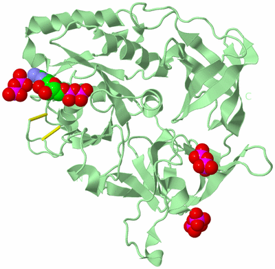 Image Biological Unit 2