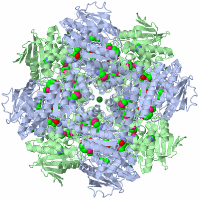 Image Biological Unit 1