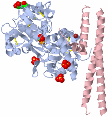 Image Biological Unit 1