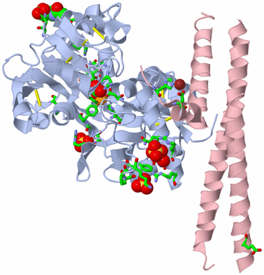 Image Biol. Unit 1 - sites