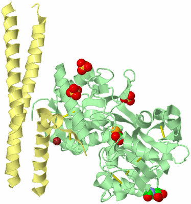 Image Biological Unit 2