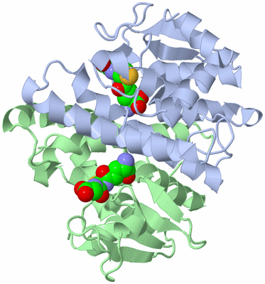 Image Biological Unit 1