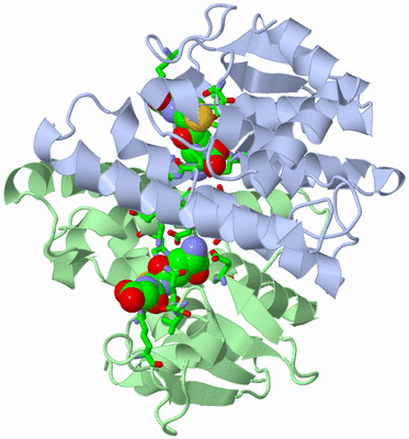 Image Biol. Unit 1 - sites