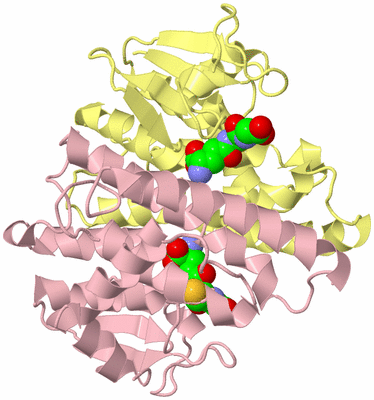 Image Biological Unit 2