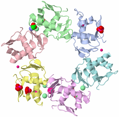 Image Asym./Biol. Unit