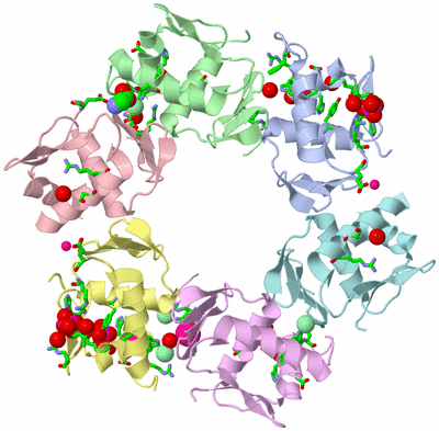 Image Asym./Biol. Unit - sites