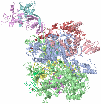 Image Biological Unit 1